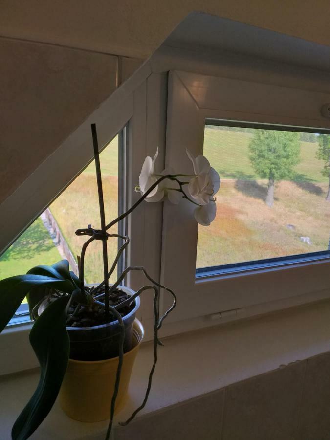 Hotel U Pohody Kovářská Esterno foto
